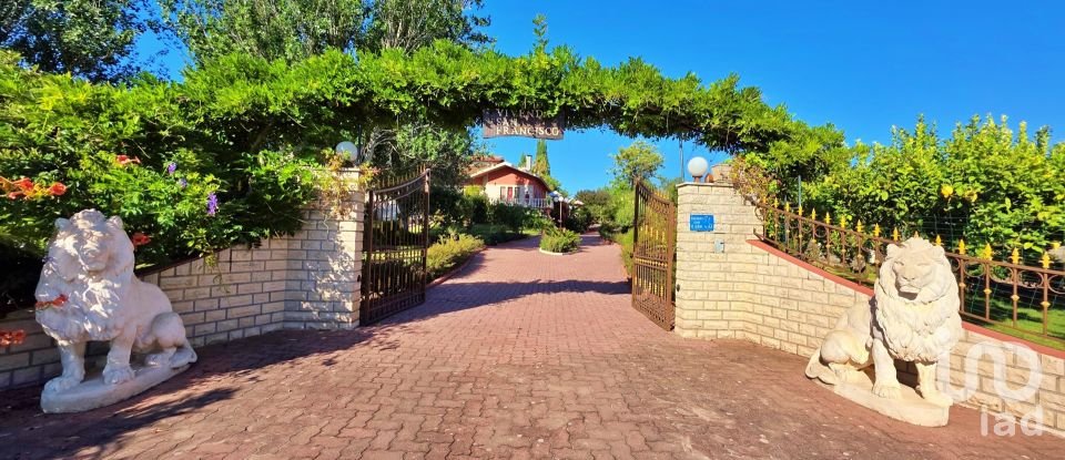 House T4 in Lamas e Cercal of 550 m²