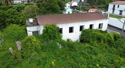 Maison T0 à Lajes do Pico de 229 m²