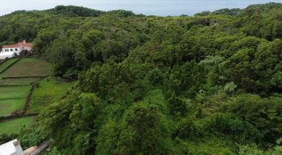 Maison T0 à Lajes do Pico de 229 m²