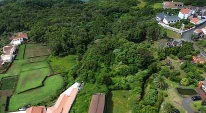 Maison T0 à Lajes do Pico de 229 m²