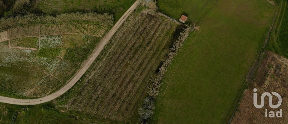 Terrain à bâtir à Famalicão de 1 570 m²