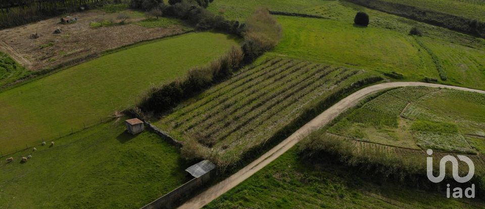 Terrain à bâtir à Famalicão de 1 570 m²
