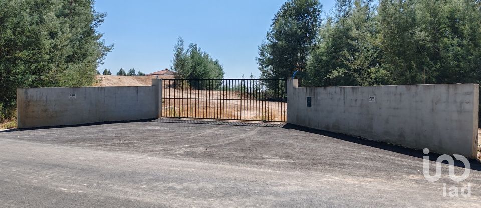 House T4 in Pedrógão Grande of 281 m²