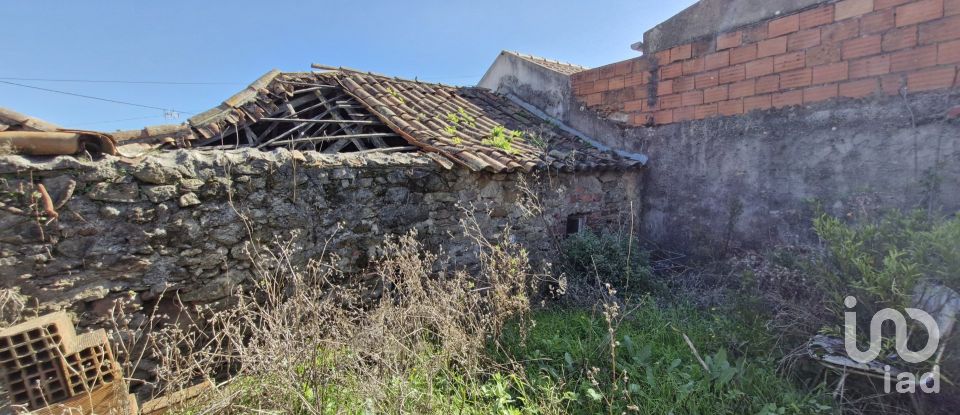 Moradia T1 em Carvalhal de 102 m²