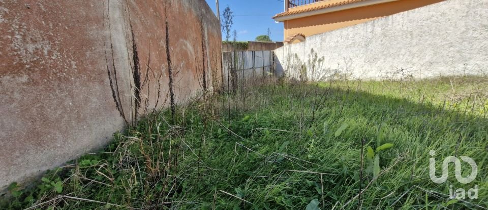 Moradia T1 em Carvalhal de 102 m²