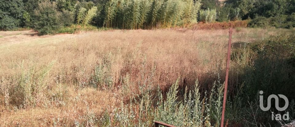 Gîte T5 à Maçãs de Dona Maria de 331 m²