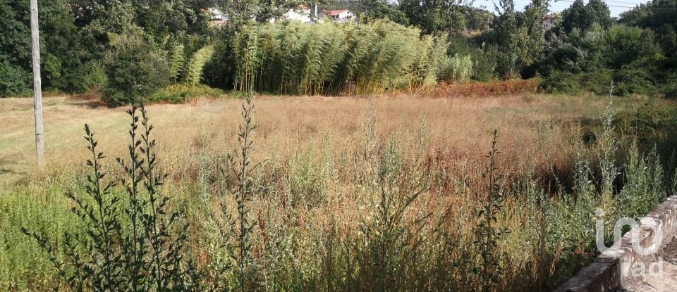 Gîte T5 à Maçãs de Dona Maria de 331 m²