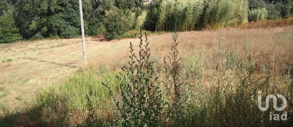 Gîte T5 à Maçãs de Dona Maria de 331 m²