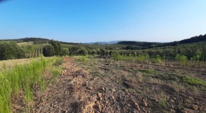 Land in Peral of 2,514 m²