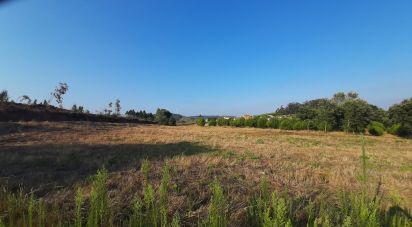 Terreno em Peral de 2 514 m²