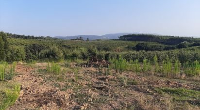 Terreno em Peral de 2 514 m²