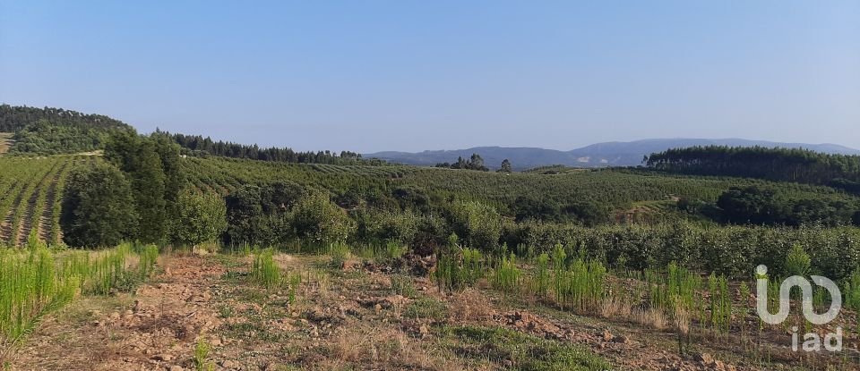 Terrain à Peral de 2 514 m²