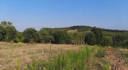 Terreno em Peral de 2 514 m²