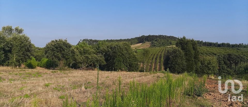 Terrain à Peral de 2 514 m²
