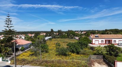 Land in Coruche, Fajarda e Erra of 6,250 m²