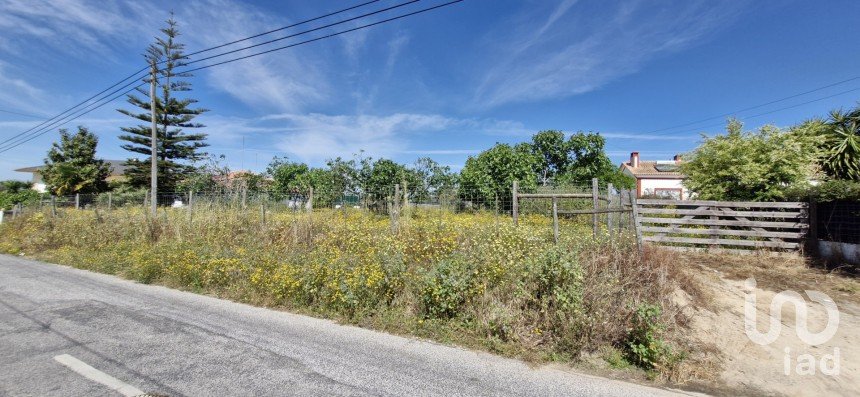 Terrain à Coruche, Fajarda e Erra de 6 250 m²