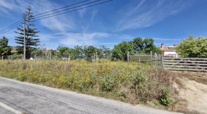 Terrain à Coruche, Fajarda e Erra de 6 250 m²