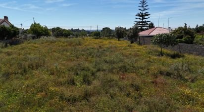 Land in Coruche, Fajarda e Erra of 6,250 m²