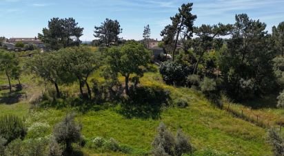 Land in Coruche, Fajarda e Erra of 6,250 m²