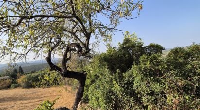 Land in Boliqueime of 1,570 m²