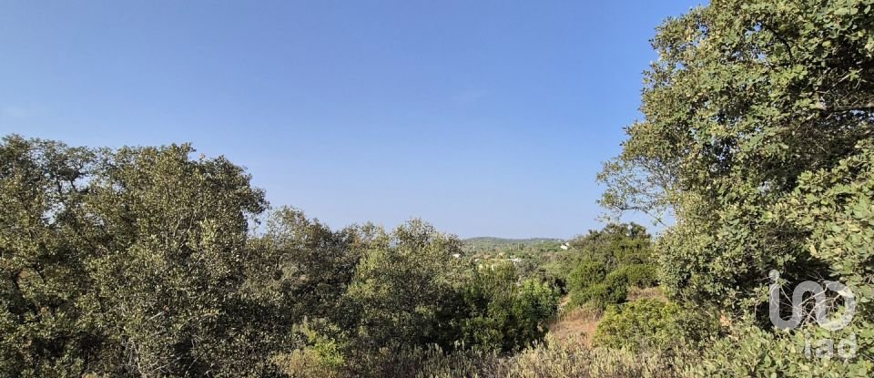 Land in Boliqueime of 1,570 m²