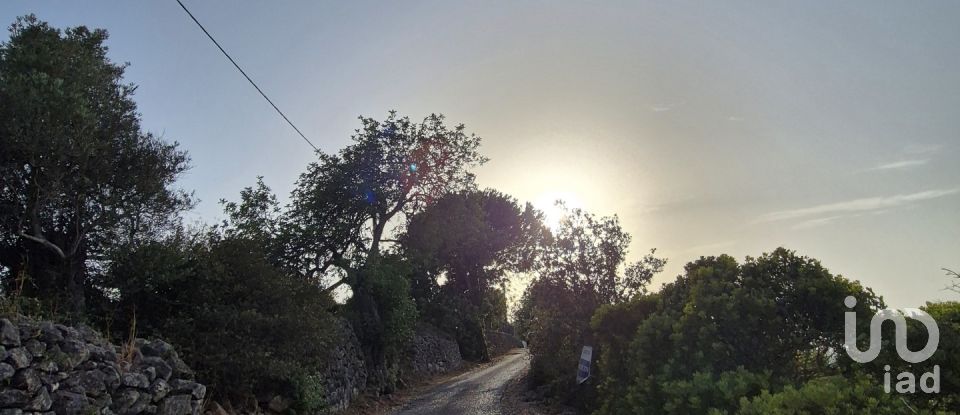 Land in Boliqueime of 1,570 m²