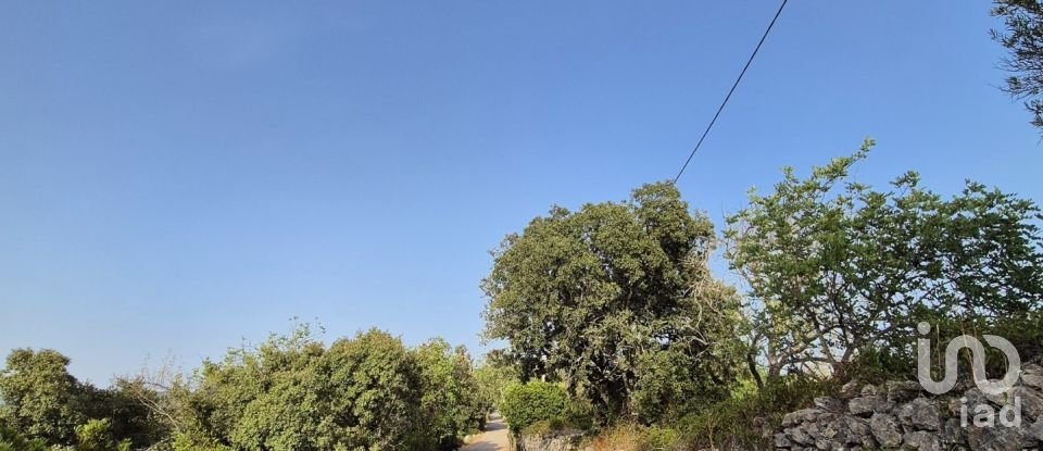 Land in Boliqueime of 1,570 m²