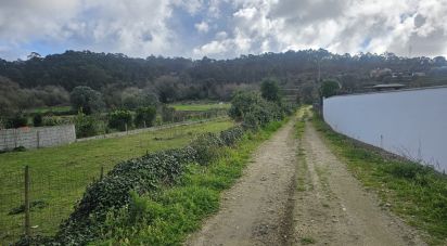 Land in Antas of 1,139 m²