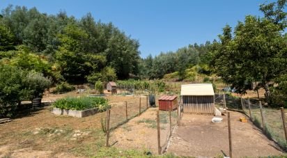 Maison T2 à Côja e Barril de Alva de 238 m²