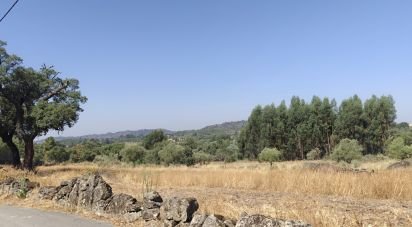 Terreno em Aranhas de 2 040 m²