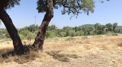 Land in Aranhas of 2,040 m²