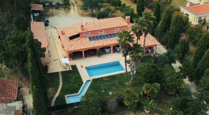 Ferme T4 à Sangalhos de 418 m²