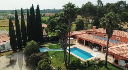 Ferme T4 à Sangalhos de 418 m²