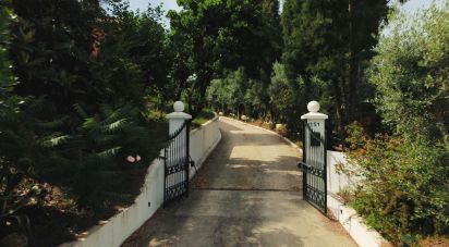 Ferme T4 à Sangalhos de 418 m²