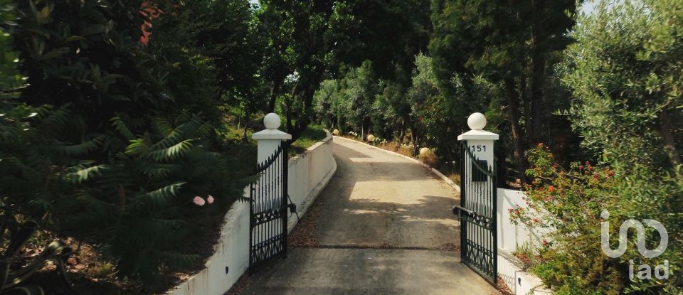 Ferme T4 à Sangalhos de 418 m²