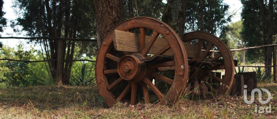 Ferme T4 à Sangalhos de 418 m²