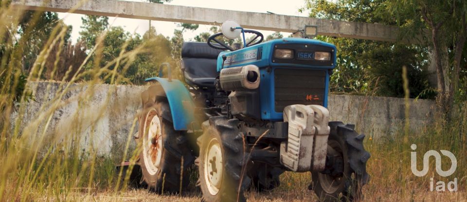 Ferme T4 à Sangalhos de 418 m²