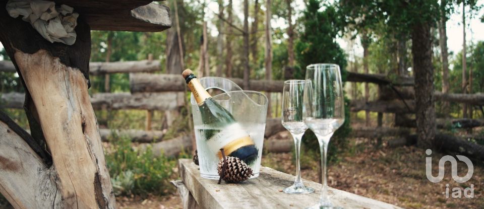 Ferme T4 à Sangalhos de 418 m²