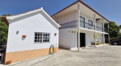 House T3 in São João da Ribeira e Ribeira de São João of 280 m²