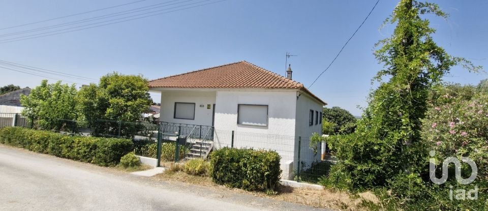 House T3 in São João da Ribeira e Ribeira de São João of 280 m²