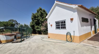 House T3 in São João da Ribeira e Ribeira de São João of 280 m²