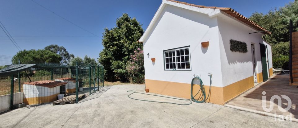 House T3 in São João da Ribeira e Ribeira de São João of 280 m²
