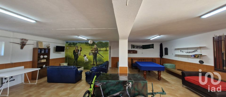 House T3 in São João da Ribeira e Ribeira de São João of 280 m²