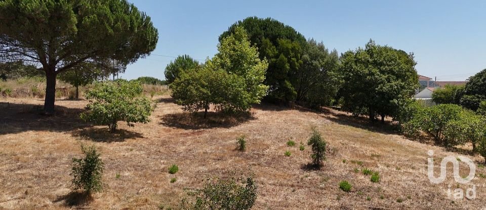 House T3 in São João da Ribeira e Ribeira de São João of 280 m²