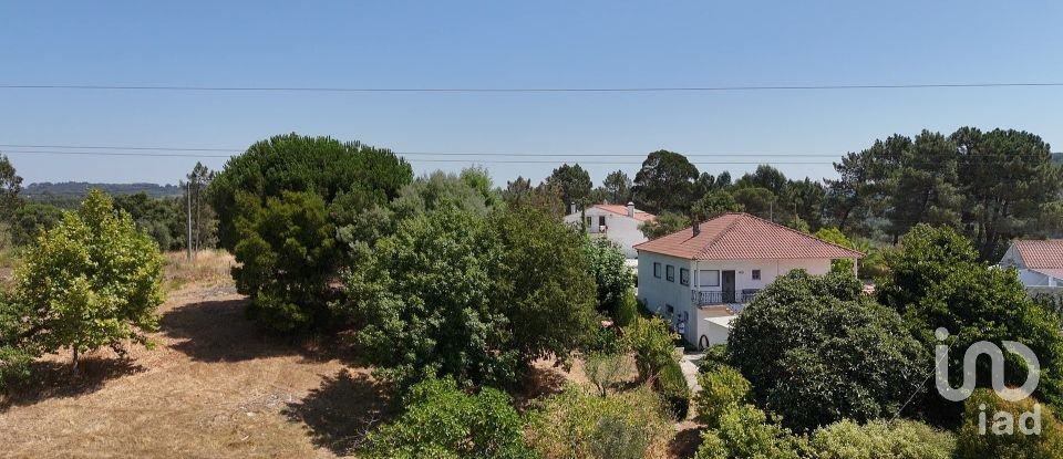 House T3 in São João da Ribeira e Ribeira de São João of 280 m²