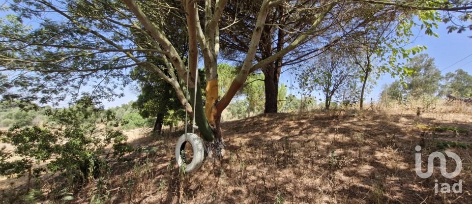 House T3 in São João da Ribeira e Ribeira de São João of 280 m²