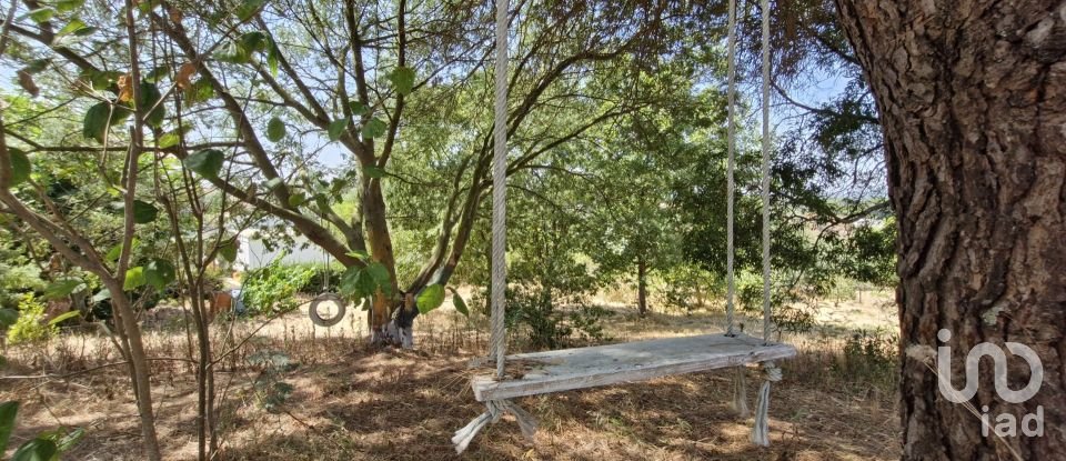 House T3 in São João da Ribeira e Ribeira de São João of 280 m²