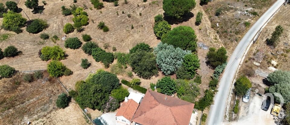 House T3 in São João da Ribeira e Ribeira de São João of 280 m²