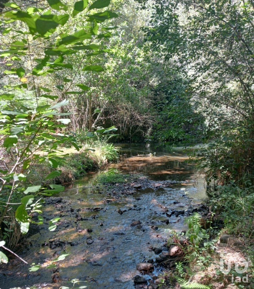 Lodge T0 in Pedrógão Grande of 50 m²