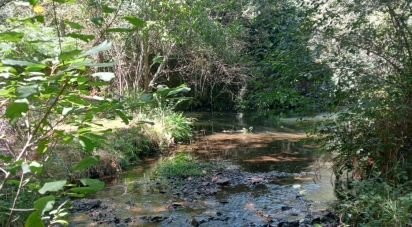 Gîte T0 à Pedrógão Grande de 50 m²